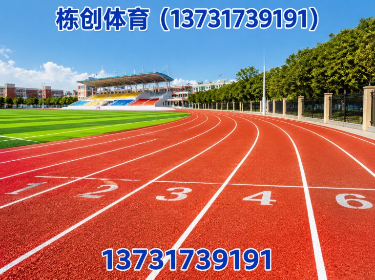献县硅PU球场展示图
